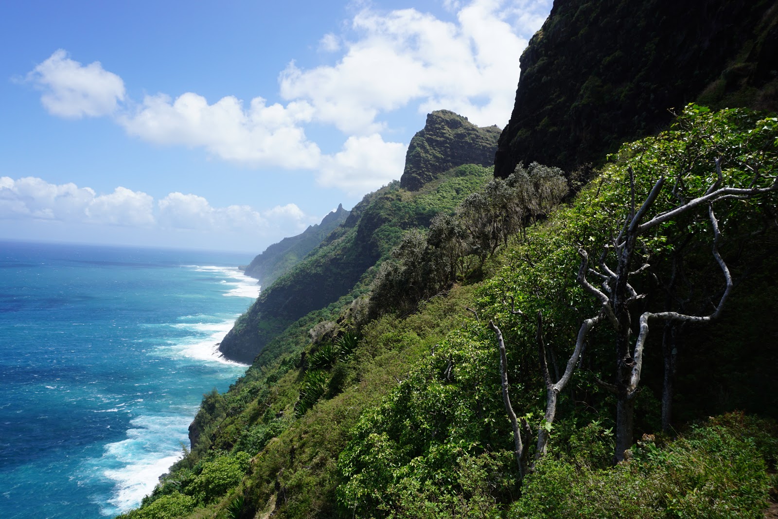 Confessions of a Program Director: The Residency Personal Statement